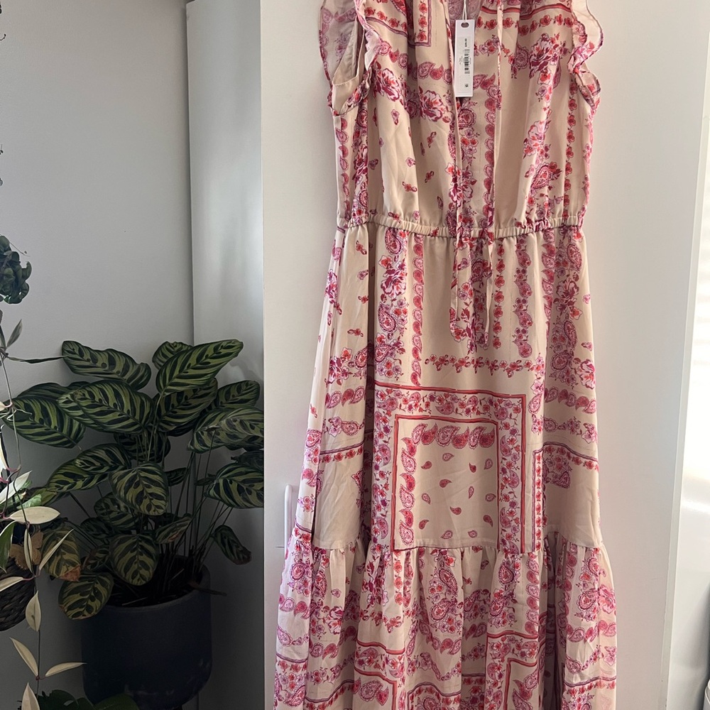 Steve Madden Pink and Cream Floral Maxi Dress